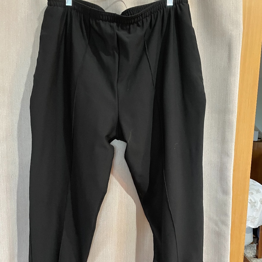 LL Bean Womens Cycling pants (XL) w/attached short